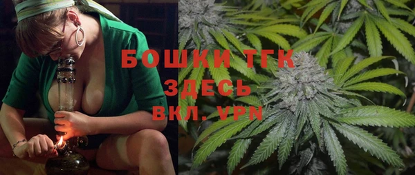 тгк Медногорск
