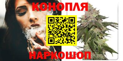 ешки Гагарин