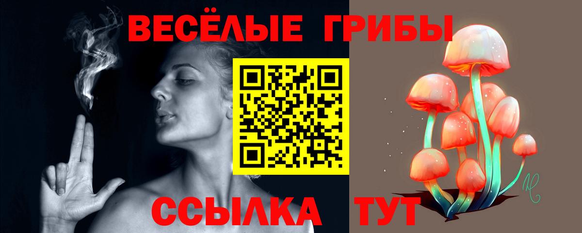 Галлюциногенные грибы прущие грибы  Камышин 